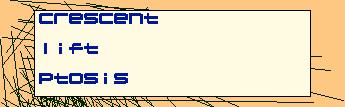 CrescentLiftPtosis